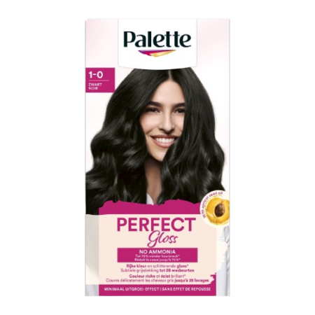 Schwarzkopf Palette Color Black 1-0 Product Image